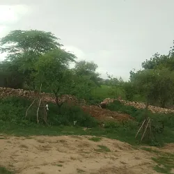 Hasdeo River - Bilaspur