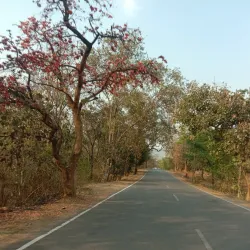 Hasdeo River - Bilaspur