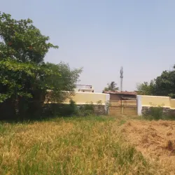 Hasdeo River - Bilaspur