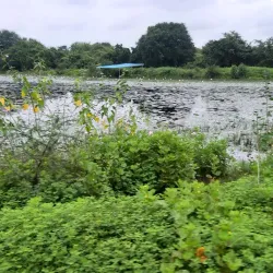 Ambika River - Bilimora
