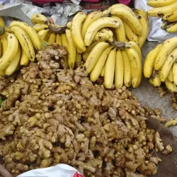 Bilimora Market - Bilimora