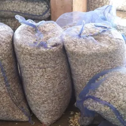 Bilimora Market - Bilimora