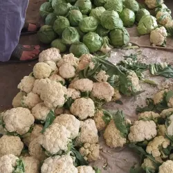 Bilimora Market - Bilimora