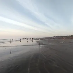 Dandi Beach (nearby) - Bilimora