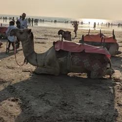 Dandi Beach (nearby) - Bilimora