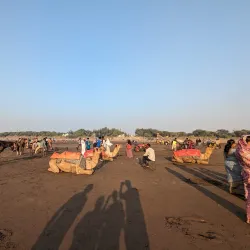 Dandi Beach (nearby) - Bilimora