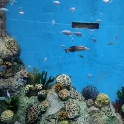 Gujarat Science City (nearby) - Bilimora