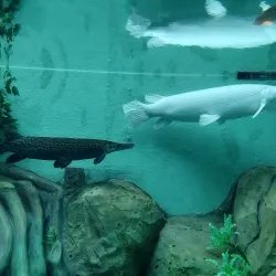 Gujarat Science City (nearby) - Bilimora