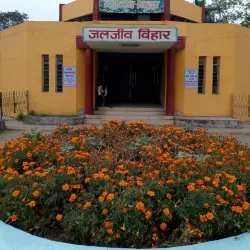 Bokaro Museum - Bokaro