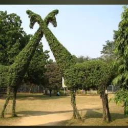 Bokaro Museum - Bokaro