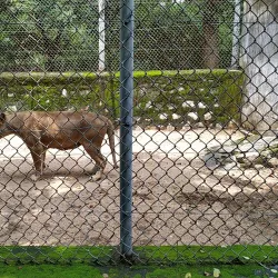 Bokaro Museum - Bokaro