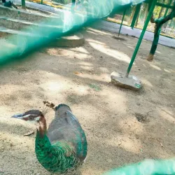 Bokaro Museum - Bokaro