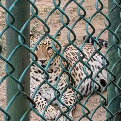 Bokaro Museum - Bokaro