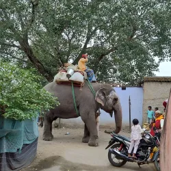 Bokaro Thermal Power Station - Bokaro