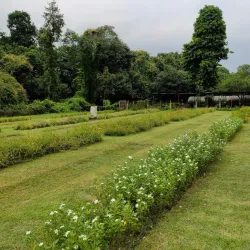 City Centre Park - Bokaro