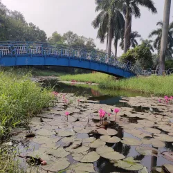City Centre Park - Bokaro