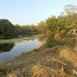 City Centre Park - Bokaro