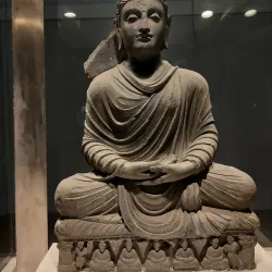 Government Museum Bulandshahr - Bulandshahr