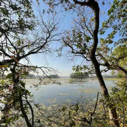 Nawabganj Bird Sanctuary - Bulandshahr