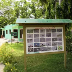 Nawabganj Bird Sanctuary - Bulandshahr
