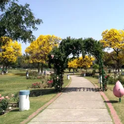 Chandigarh Rose Garden - Chandigarh