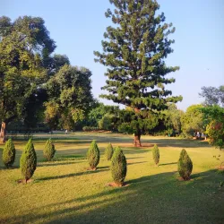 Chandigarh Rose Garden - Chandigarh