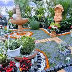 Chandigarh Rose Garden - Chandigarh