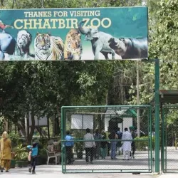 Chhatbir Zoo - Chandigarh