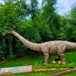 Chhatbir Zoo - Chandigarh