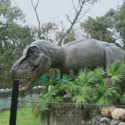 Chhatbir Zoo - Chandigarh