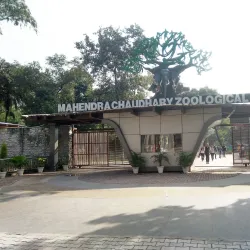 Chhatbir Zoo - Chandigarh