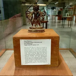 Government Museum and Art Gallery - Chandigarh