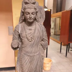 Government Museum and Art Gallery - Chandigarh