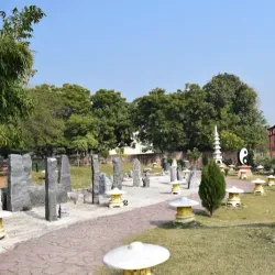 Japanese Garden - Chandigarh