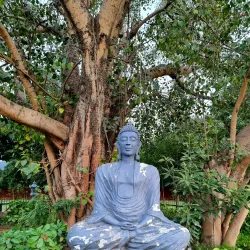 Japanese Garden - Chandigarh