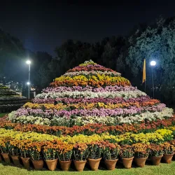 Terraced Garden - Chandigarh