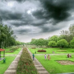 Terraced Garden - Chandigarh