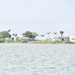 Pulicat Lake - Chengalpattu