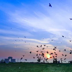 Elliot's Beach (Besant Nagar Beach) - Chennai