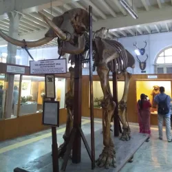 Government Museum, Chennai - Chennai