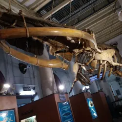 Government Museum, Chennai - Chennai