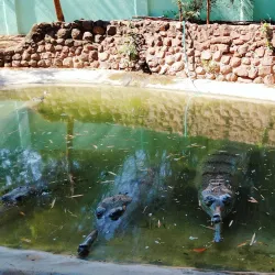 Guindy National Park - Chennai