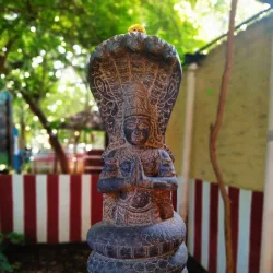 Guindy National Park - Chennai