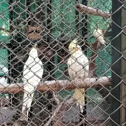 Guindy National Park - Chennai