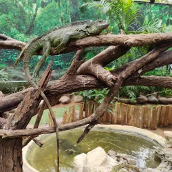 Guindy National Park - Chennai