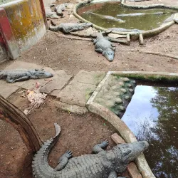 Guindy National Park - Chennai