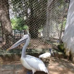 Guindy National Park - Chennai