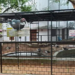 Guindy National Park - Chennai