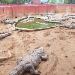 Guindy National Park - Chennai