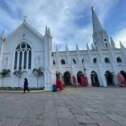 San Thome Basilica - Chennai